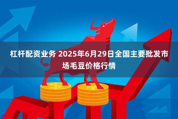 杠杆配资业务 2025年6月29日全国主要批发市场毛豆价格行情