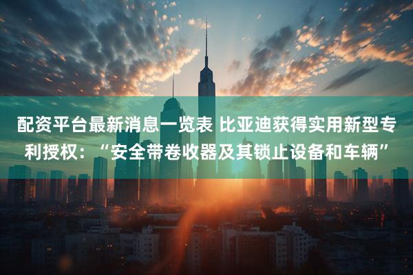 配资平台最新消息一览表 比亚迪获得实用新型专利授权：“安全带卷收器及其锁止设备和车辆”